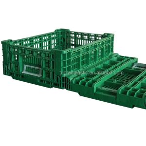 Foldable PP Mesh Crate Box Design for Convenient Storage of Fruits and