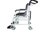 Wheelchair Scales - 501