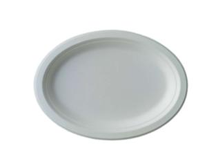 China 10 Inch 17g Eco Friendly Sugarcane Paper Plates factory