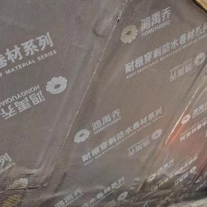 China Plastic APP Modified Bitumen Membrane Waterproof 3mm 4mm 5mm thickness factory