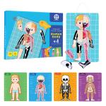 Kids Early Educational Learning Toys Human Organs Model 48Pcs For Boys Girls 3 4