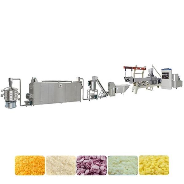China Double Screw Extrude Bread Crumb Production Line Automatic factory