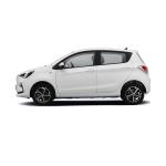 2024 Changan E-Star EV Mini Car Pure Electric Cars Euro VI Standard Tax-Free