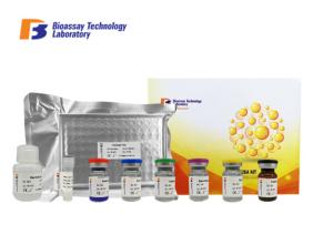 China 96 / 48 Wells Human ELISA Kit CNKSR1 / Human Connector Enhancer Of Kinase Suppressor Of Ras 1 factory