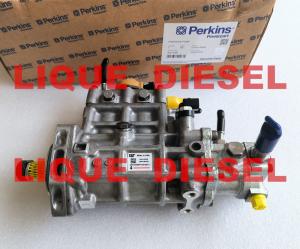China CAT Fuel pump 295-9125 324-0532 2641A405 10R-7659 2959125 3240532 2641A405 10R7659 factory