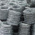 Galvanized Security Fencing Barbed Wire for Agricultural and Industrial 1.6mm