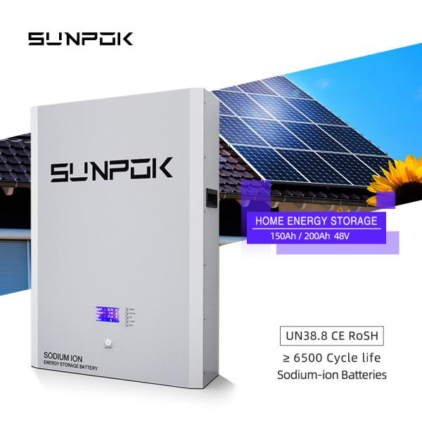 48V 5kwh Sodium-ion Battery Sodium Na Ion Storage Battery Solar Power Bank Power