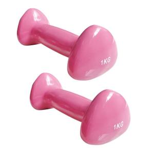China Cast Iron Gym Equipment Dumbbells Vinyl Dipping Neoprene Coated Colorful factory