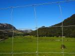 Hot Dip Galvanised Wire Field Fence Height 2m High Strength Woven