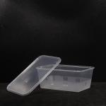 Eco Friendly Compostable Fast PP Lunch Food Box for Snack Sandwich Salad Fruit
