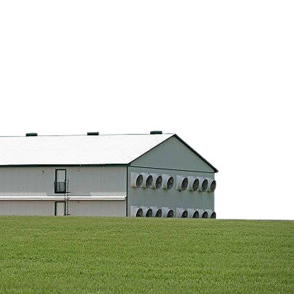 China's Prefabricated Steel Structure Chicken House Durable Poultry Farm