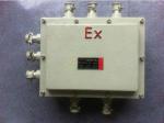 BJX-e Explosion-proof Junction Box Customized AC220V/380V