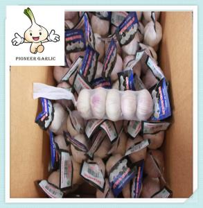 China Jinxiang White Garlic Export To Normal White Garlic Loose Packing 10 Kg Mesh Bag factory