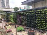 Outdoor Green Plant Plastic Vertical Garden Flower Stacking Pots for Stylish