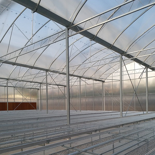 Excellent Natural Ventilation Sawtooth Greenhouse With Hot Dipped Galvanized Frame And High Roof For Agriculture