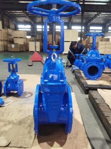 China GGG40 / GGG50 Wedge Gate Valve With Cap And Gearbox And Electric Actuator factory