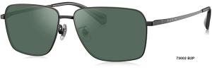 China PARIM New Fashion Durable UV400 TAC Polarized Lenses Men's 2023 Sunglasses #73002 B2P/S1P factory