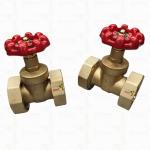 Brass Union Gate Valve With Red Cast Iron Handle High-Flow 1/2"-4" Customized