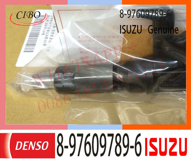 8-97609789-6 ISUZU Fuel Injector 8976097890 For Engine 4HK1 6HK1 095000-6376 095000-6373
