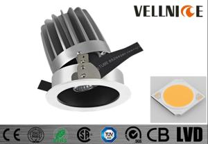 China Selling Adjustable Commercial Hotel Trim Recessed LED Fixture COB 30w/R3B0631 factory