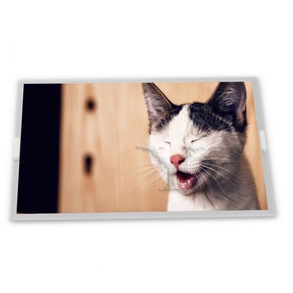 China 15.6 Inches LQ156T1JW03  LCD Display Panel 2560*1440 Resolution LCD Screen Module factory