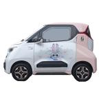 Versatile Compact Electric Cars Eco Friendly Small EV Cars Vehicles Wuling Nano