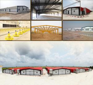 China Poultry Equipment | Methods of Modern Farming - NorthHusbandry Machinery factory