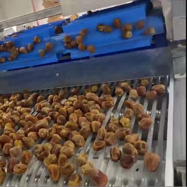 China AI Powered Date Sorting Machine Deep Learning Technology 8 Lanes+8 Outlets , 2.4-2.6T/H,360° Rotating Scanning factory