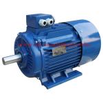 Gear Reduce Motor with CE Single Phase Electric Motor, AC Electric Motor