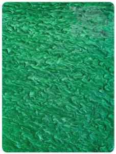 China Green Pearl Cast Acrylic Perspex Panels For Doors Windows factory