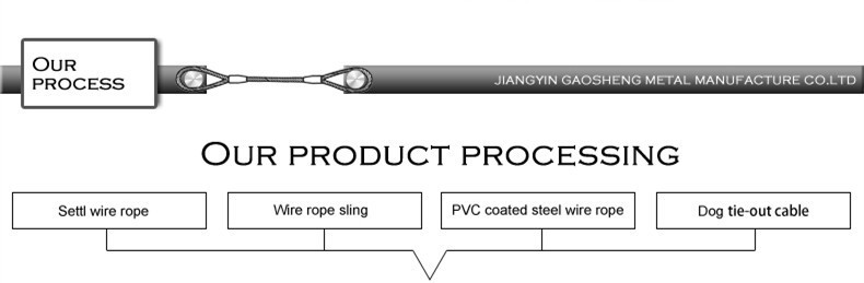 Tie Out Cable Leash With Metal Durable Coating Anti-Bite Steel Wire Rope Dog Tie Out Cable Leash For Dog