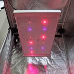 PWM 2x2 Led Grow Light
