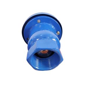 China OEM Singles Orifice Air Release Valve Irrigation System PN16 factory