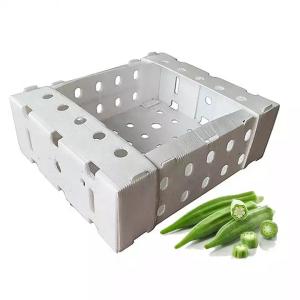 China Asparagus Okra Fruit And Vegetable Packaging Boxes Coreflute factory