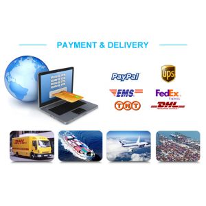 C9200-24T-E Catalyst 9200 24-port Data Switch Network Essentials 1RU Fixed