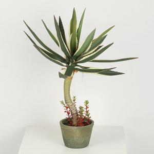 China 66 CM 86 CM 88 CM Artificial Agave Americana For Home Decoration factory