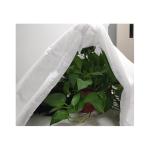 Needle Punched Nonwoven Geotextile Your One-Stop Shop for Waterproof Non Woven