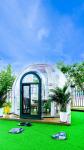 Outdoor Luxury Transparent PC Material Bubble Tent Waterproof Impact and Fire