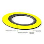 20in Flange Gasket SS316 300# Spiral Wound Gasket