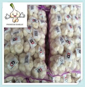 China 5cm pure white 10kg of garlic to sell for spicy vegetable importer factory