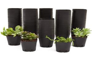 China Small Drain Holes Horticultural Plant Pots Modern Bonsai Plastic Dumpy Plants factory