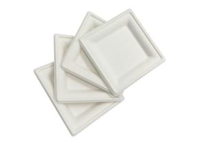 China 100% Compostable 6 Inch 10g Sugarcane Waste Plates factory