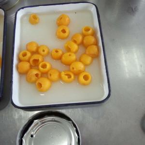 China Crop Fresh Canned Fruit Canned Loquats In Syrup 425G 567G 800G 3000G factory