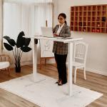 Electric Height Adjustable Desk Wooden Recording Studio Table for Girl Computer