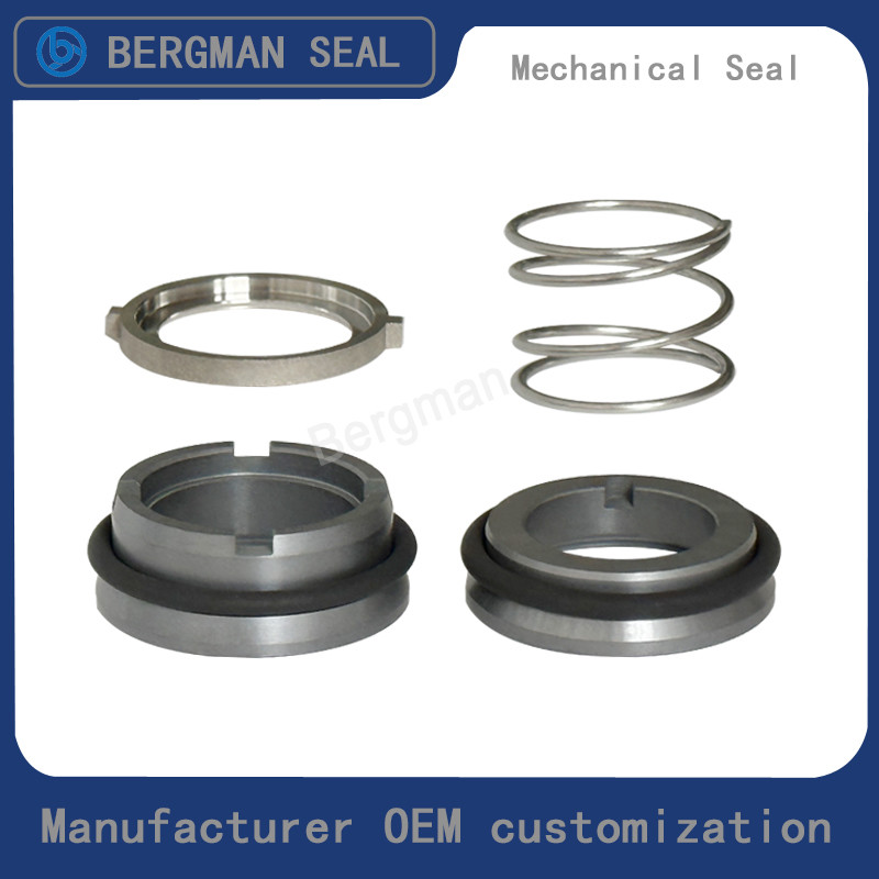 Bergman OEM W01 W02 W03 Rotor pump Sanitary Pumps Food Pumps Seals Mechanical Seal