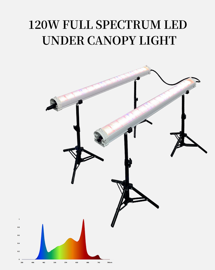 100W 150W 120W Under Canopy Grow Lights 4ft Full Spectrum LED Grow Lights