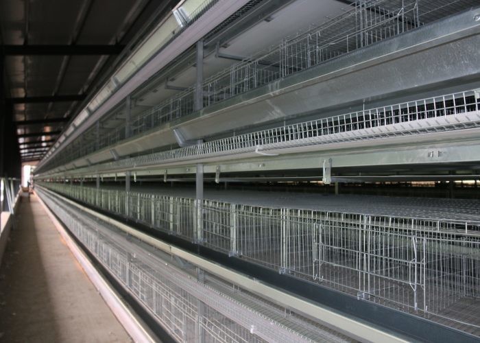 Battery H Type Layer Chicken Cage Low Noise High Carrying Capacity