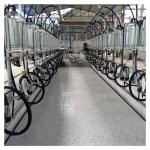 Dairy Farm Goat Cow Herringbone Milking Parlor Glass Bottle Metering System