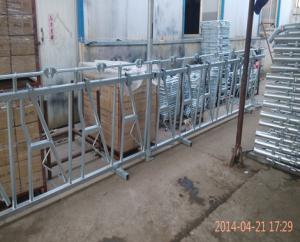 China Stainless Steel Calf Creep Feeder Panels , Durable Cattle Headlock Panels factory