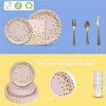 Fancy Eco Friendly Disposable Dinnerware Sets For Weddings